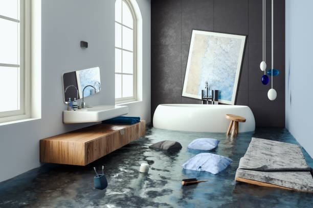 Best Professional water damage repair  in Yerington, NV