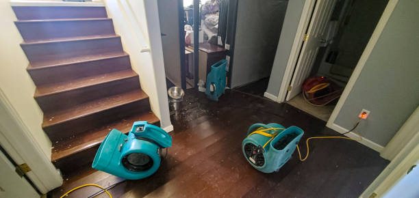 Best Water damage cleanup near me  in Yerington, NV