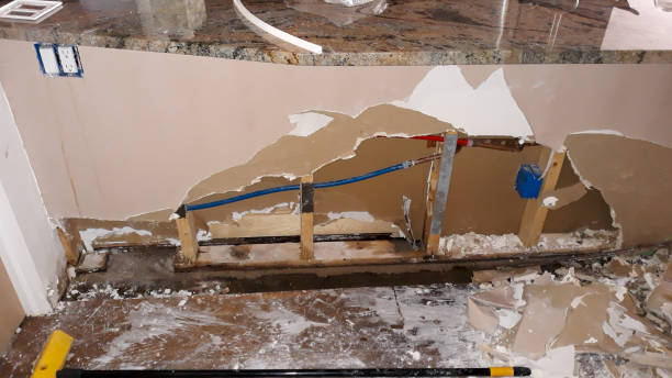 Best Ceiling water damage repair  in Yerington, NV