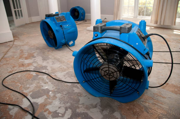 Best 24/7 water damage repair  in Yerington, NV
