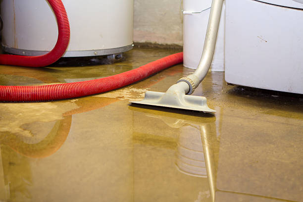 Best Water damage restoration near me  in Yerington, NV