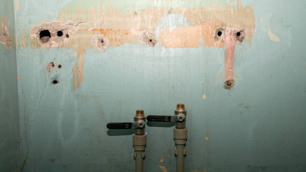 Best Water damage restoration near me  in Yerington, NV