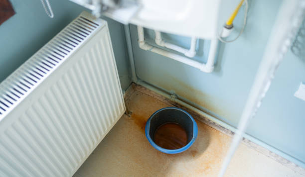 Best 24/7 water damage repair  in Yerington, NV
