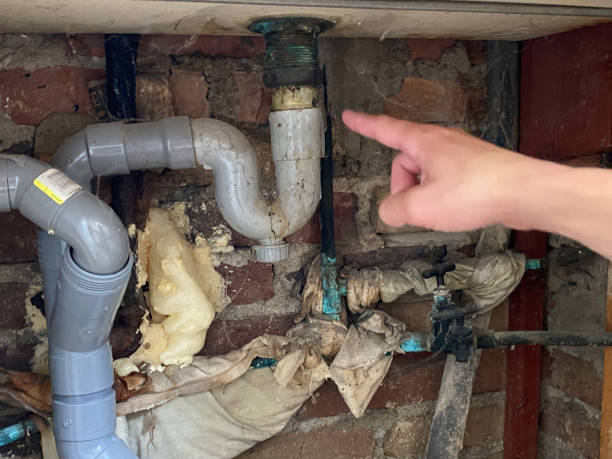 Best Flooded house restoration  in Yerington, NV