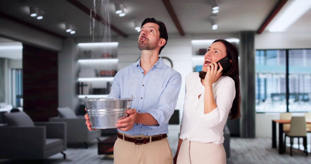 Best Flood damage cleanup  in Yerington, NV