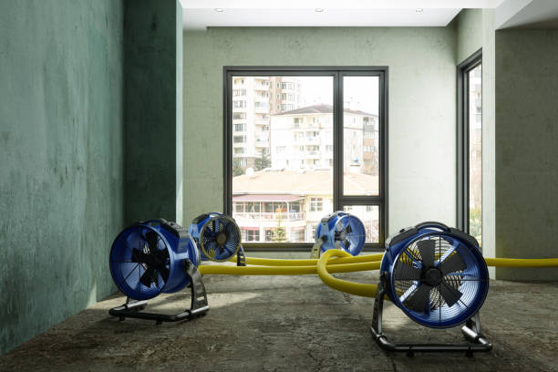 Best Water damage restoration insurance claims  in Yerington, NV
